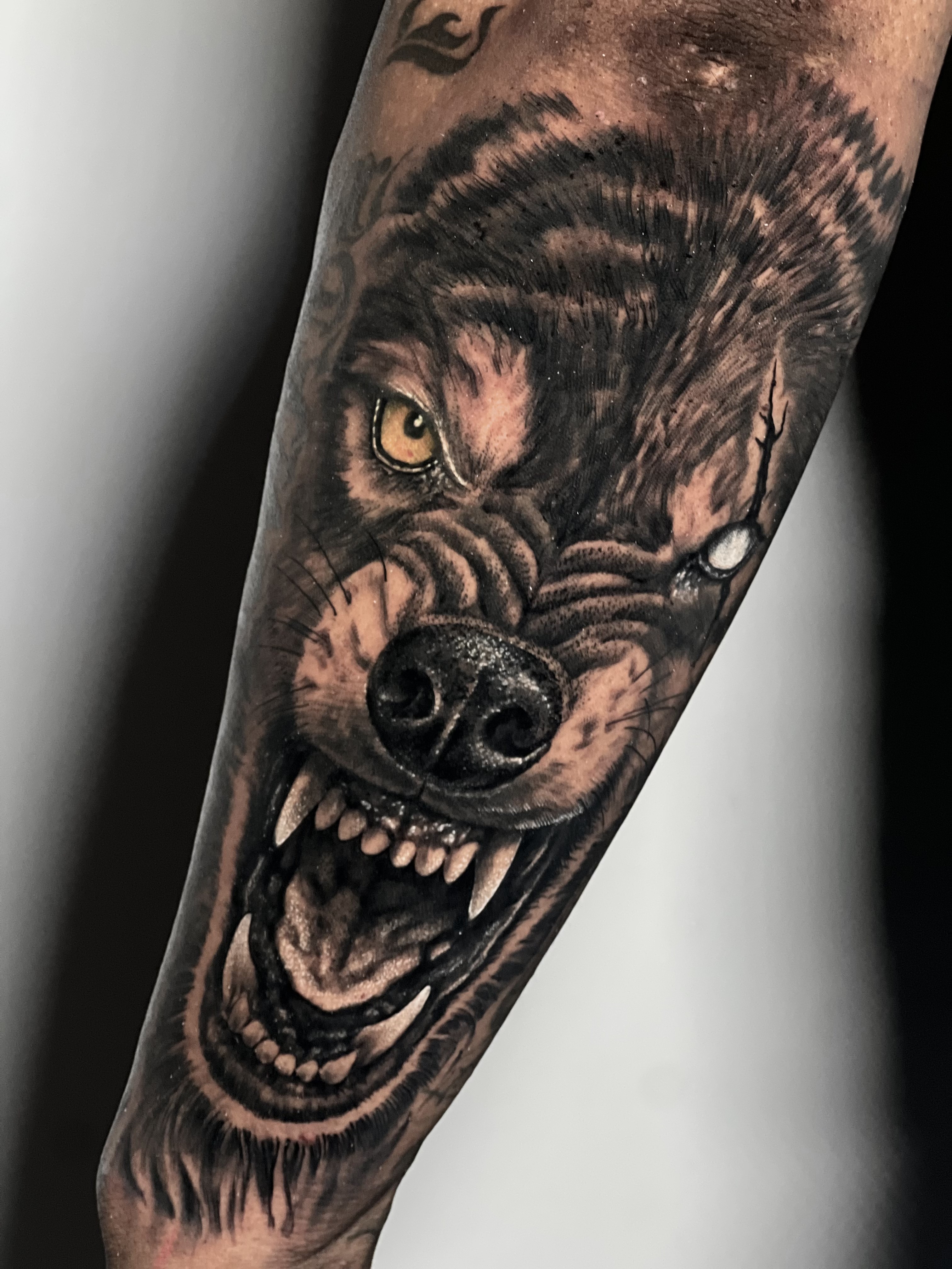Black & Gray tattoo portfolio image 10 at Ink Lover Studio
