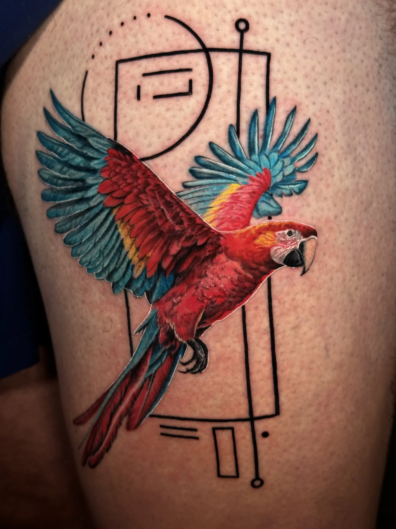 Tatuaje a color de una guacamaya roja en vuelo en el muslo, con líneas geométricas, hecho en Cartagena