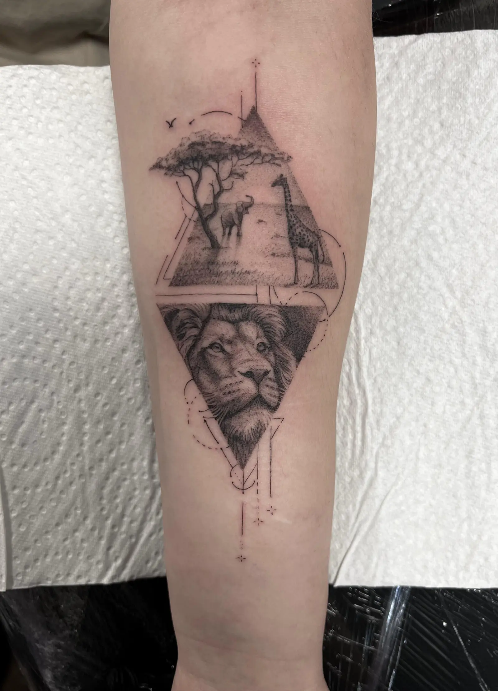 Tatuaje microrrealista de un león y una escena de safari dentro de un rombo en el antebrazo, hecho en Cartagena
